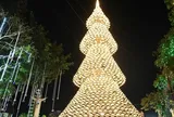 Cây thông Noel nón lá cao 35m "gây sốt" mùa Giáng sinh ở Đồng Nai