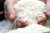 Giá gạo Ấn Độ chạm đỉnh gần một tháng