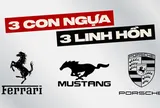 Cùng là ngựa, vì sao logo Ferrari chồm lên, Mustang lao đi, Porsche đứng vững?