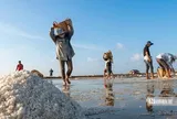 Theo chân diêm dân “nuôi” muối giữa nắng, gió và mồ hôi