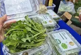 Bất ngờ về loại rau 350.000 đồng/kg vẫn được người ở TP.HCM xem là “rẻ”