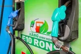 Doanh nghiệp đã sẵn sàng bán xăng E10 sớm