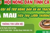 Cà Mau kêu gọi "giải cứu" lươn với giá 60.000 đồng/kg