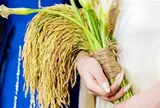 Bó hoa cưới độc lạ của cô dâu miền Tây gây sốt cõi mạng