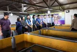 Khởi nghiệp với mô hình nuôi lươn không bùn, người phụ nữ ngồi chờ hái “quả ngọt”