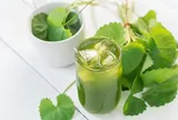 Những người không nên uống nước rau má kẻo "rước hoạ vào thân"