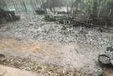 Miền Bắc lại sắp mưa to "sầm sập", cảnh báo thời tiết nguy hiểm