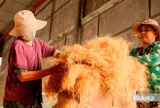 Làng xơ dừa lớn nhất miền Tây tất bật ngày đêm