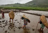 Bí ẩn ngôi làng mưa nhiều nhất thế giới: Cả năm không khô nổi một ngày