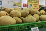 Xoài rẻ hiếm có, nhà máy mua trữ đến tháng 10