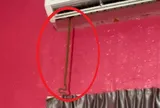 Đang chợp mắt giữa trưa, người đàn phát hiện cảnh tượng "đáng sợ" ngay trong nhà