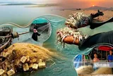 Theo chân người dân "xóm Việt kiều" mưu sinh bên hồ Dầu Tiếng
