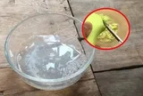 Đặt hỗn hợp xà phòng và đường ở góc nhà, công dụng đầu tiên khiến nhiều người bất ngờ