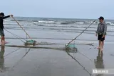 Ngư dân chạy đua với thuỷ triều, cào “lộc trời” kiếm tiền triệu mỗi ngày