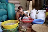 Giữ lửa nghề sản xuất "giọt vàng" ở Quảng Ngãi