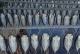 Đang đi dạo, người dân phát hiện cảnh tượng "nổi da gà", nhiều người kéo đến xem tận mắt
