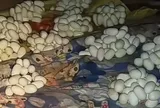 Mở cửa căn phòng trống, nam thanh niên chứng kiến cảnh tượng "không thể tin nổi"
