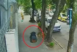 Đang đi bộ, người phụ nữ bất ngờ bị "nuốt chửng" giữa đường