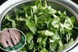 Ăn nắm rau này "bổ ngang thịt bò", ở quê mọc um tùm nhiều người không biết mà ăn