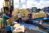 Xuất khẩu nông lâm thủy sản 6 tháng đầu năm đạt gần 36 tỷ USD