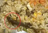 Đang ăn cơm rang, cô gái sốc khi thấy thứ "đáng sợ" trong đĩa