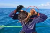 Đi đánh lưới cá, ngư dân gặp cảnh "đáng sợ"