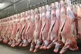 Hơn 100.000 tấn thịt Ấn Độ vào Việt Nam, phần lớn là thịt trâu đông lạnh