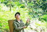 Trồng táo mèo trên núi đá, trao “cần câu” giúp người dân vùng cao thoát nghèo