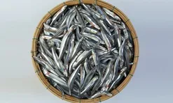 3 loại cá "tốt hơn cả cá hồi", ở chợ Việt vừa nhiều vừa rẻ nhất cái số 1