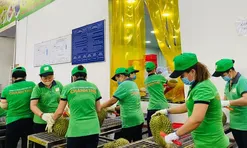 Rau quả Việt Nam: Đón kỷ lục 7 tỷ USD, thăng hạng chinh phục thị trường Mỹ, EU