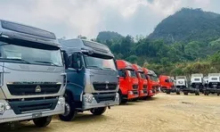 Thấy gì việc nhập ô tô tải ồ ạt về Việt Nam?