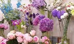 Thị trường hoa 8/3: Giá tăng, khách chọn bó hoa vừa túi tiền