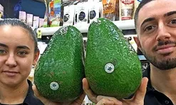 Giống bơ "khổng lồ" nhất thế giới, to bằng cái đầu, cả nhà ăn 1 quả còn không hết