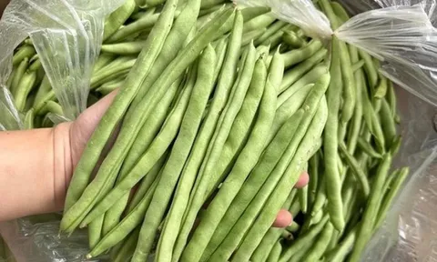 Thứ rau quả chính vụ mùa đông, ăn là "nghiền", thúc đẩy xương chắc khỏe, tăng cường chức năng miễn dịch