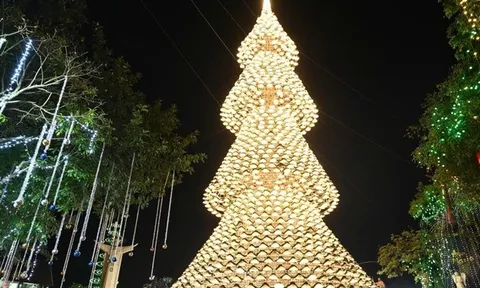 Cây thông Noel nón lá cao 35m "gây sốt" mùa Giáng sinh ở Đồng Nai