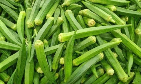 Loại quả bán đầy chợ giá 15.000 đồng, sang Nhật thành "nhân sâm xanh" giúp sống thọ