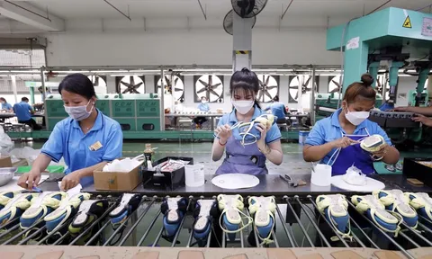 Hơn 54.000 doanh nghiệp gia nhập và tái gia nhập thị trường trong tháng 1/2026 0