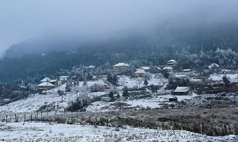 Thời tiết dịp Tết Nguyên đán diễn biến thế nào?