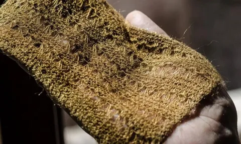 Phát hiện loại "vàng" thất truyền cách đây 2.000 năm: Sinh ra từ biển, không phải ai cũng được chạm vào