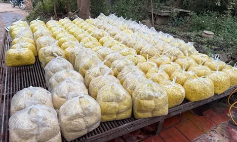 Trộn chất gây ung thư vào gần 2 tấn riềng xay bán ra chợ ở Bắc Ninh