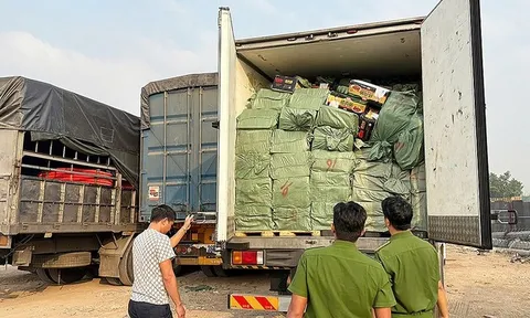 Chặn đứng gần 29 tấn thực phẩm đông lạnh không rõ nguồn gốc trước khi tuồn ra quán ăn