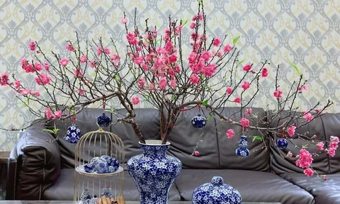 Đừng đốt gốc đào nữa thêm thứ này hoa nở rộ rất nhanh, bền đẹp ngày Tết