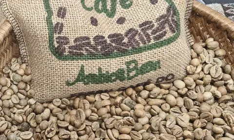Giá cà phê hôm nay 23-2: Dự báo từ Tổ chức Cà phê quốc tế