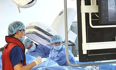 Vinmec Nha Trang cứu sống du khách Hàn Quốc nguy kịch, đưa về nước an toàn