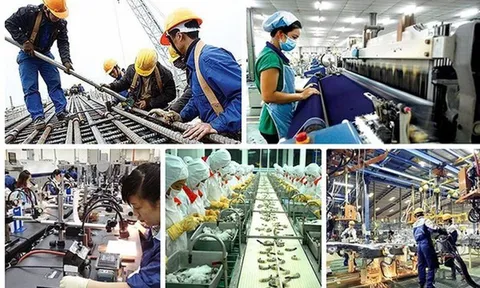 Nghị quyết 79: Động lực mới để các doanh nghiệp Nhà nước đủ sức kiến tạo, dẫn dắt, mở đường 0