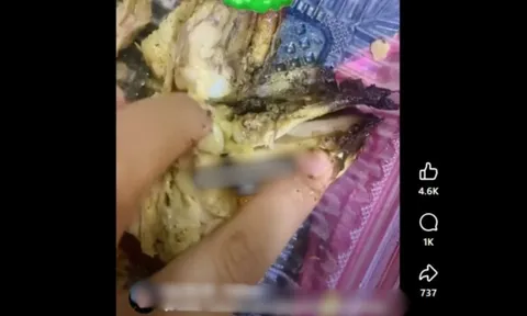 Mua gà về ăn, người phụ nữ phát hiện đầy giòi bám bên trong