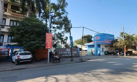 Công ty CP Đồ hộp Hạ Long vẫn dừng hoạt động sản xuất 0