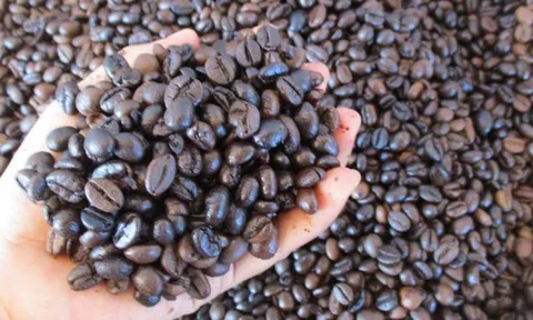 Giá cà phê hôm nay 6-3: Tăng tiếp, giá cà phê xuất khẩu vẫn hơn 4.000 USD/tấn
