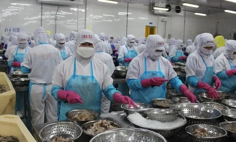 Xuất khẩu nông, lâm, thủy sản có thể giảm hàng tỉ USD vì xung đột ở Trung Đông