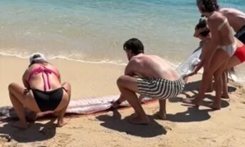 Đang dạo biển, người dân phát hiện cảnh tượng "bí ẩn" ập đến bất ngờ